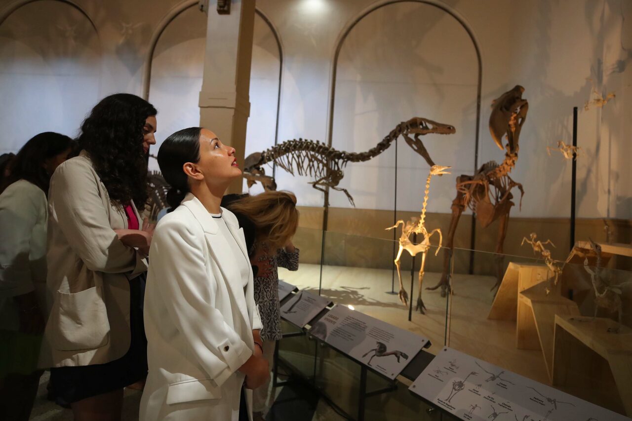 Museo Nacional De Historia Natural Inaugura Muestra Que Exhibe Los